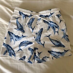 Janie and Jack Boy Swim Trunks